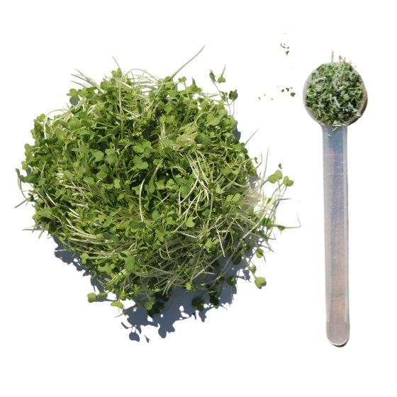 fresh to freeze dried microgreens Microgreen Depot